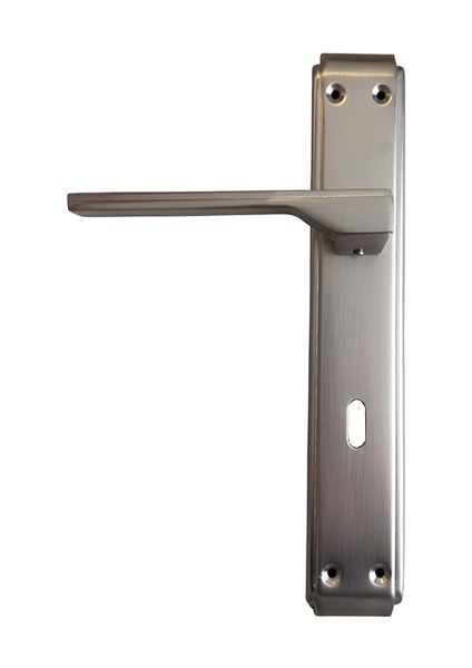 Erkul Alüminyum Inox Oda Kapı Kolu, Modern ve Dayanıklı Kapı Kolu (480-02-ODA-IN)