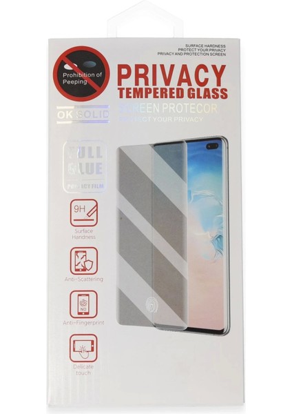 Bfs Samsung Galaxy S21 Plus Hayalet Edge Cam Ekran Koruyucu