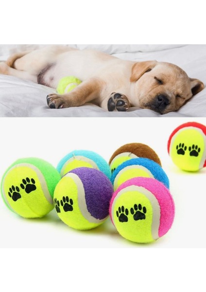 Köpekler Için Renkli Tenis Topu Seti (4'lü) modelleri