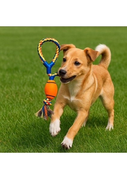Dayanıklı Halatlı Top Köpek Oyuncağı – Çiğneme ve Getir-Götür Oyunları Için indirimleri