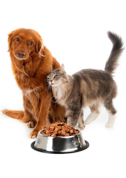 Paslanmaz Çelik Kaymaz Tabanlı Kedi/köpek Mama ve Su Kabı indirimleri