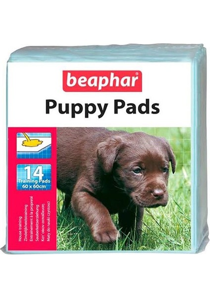 Yavru Köpek Çiş Pedi 14 Adet 60X60 cm