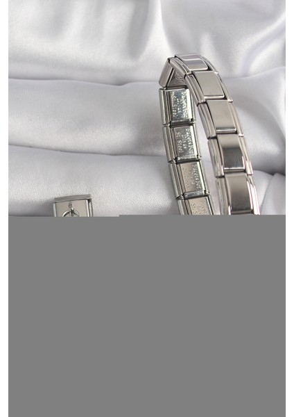 316L Çelik Gümüş Renk Sallantı Ejder Meyvesi Model Nomination Charm - TJ-BC1175 fiyatları