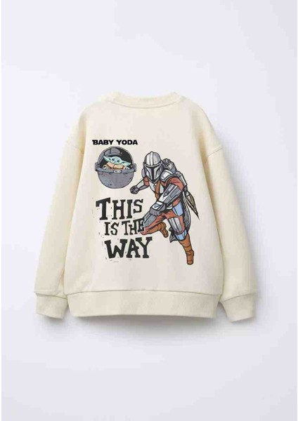 Erkek Cocuk Sweatshirt fiyatları