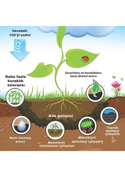 Meşe Odunu Bazlı Karbon Toprak Düzenleyici 32L Biochar 6mm ve Üstü fırsatları