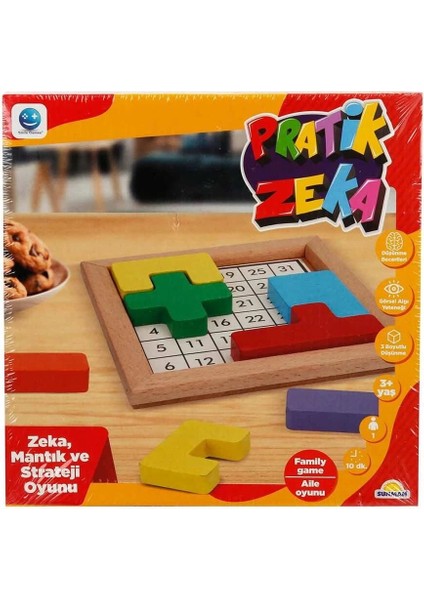 Pratik Zeka Oyunu