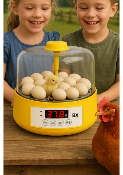 Tam Otomatik Ev Tipi Kuluçka Makinesi Isı ve Nem Ayarlı Gün Sayaçlı