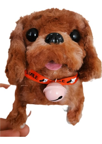 Pilli Oyuncak Köpek , Hareketli , Sesli , Tasmalı , Minik Çanlı Oyuncak Köpek modelleri