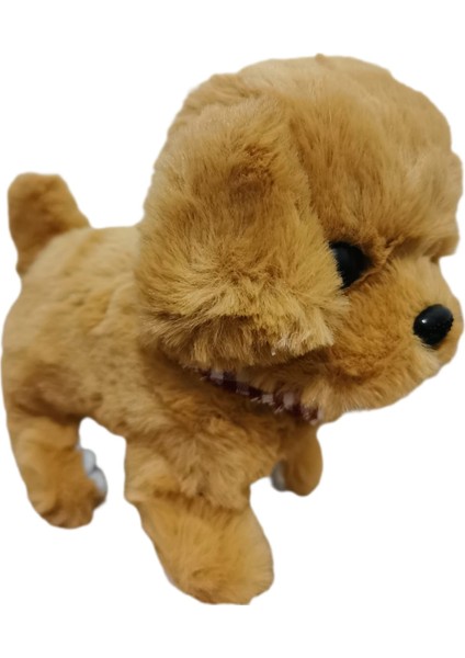 Pilli Oyuncak Köpek, Hareketli Sesli Oyuncak Köpek modelleri