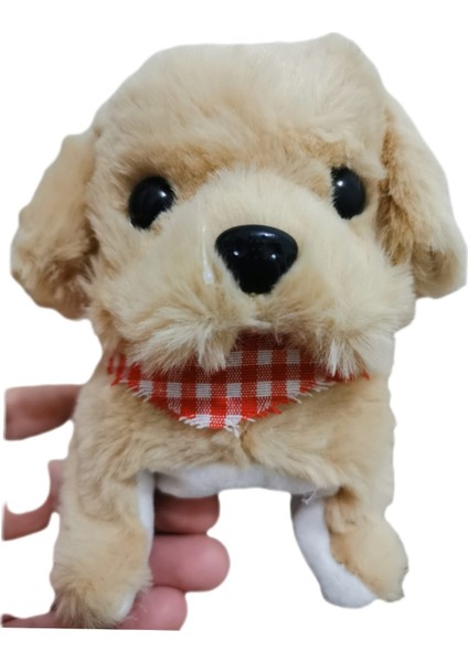 Pilli Oyuncak Köpek, Hareketli Sesli Oyuncak Köpek indirimleri