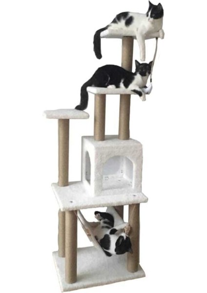 Çok Renkli Kedi Tırmalama ve Oyun Evi, Eğlence Dolu Anlar Için Tasarlandı