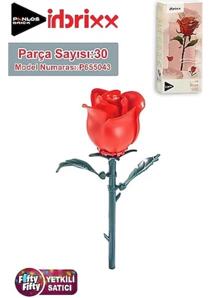 P655043 Panlos Block Oyuncak