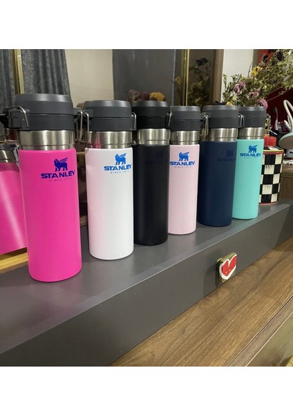 The Quick Flip Paslanmaz Çelik 750 ml Termos fiyatları