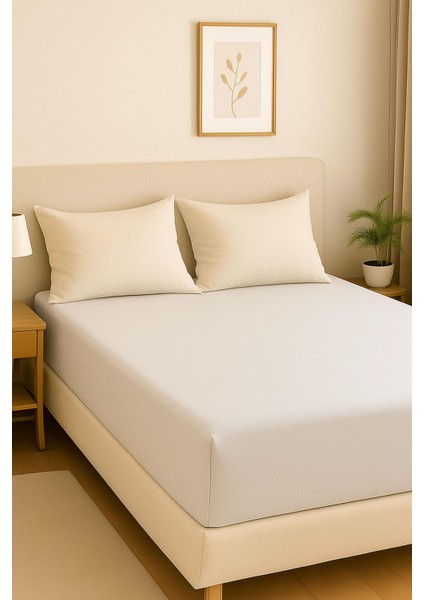 4 Adet Battal Boy Düz Pamuklu Çift Kişilik 200 x 200 cm Lastikli Penye Çarşaf indirimleri