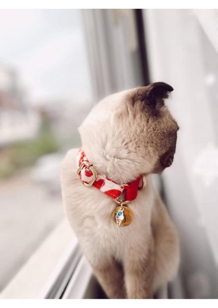 Sevimli Kedi Boyun Tasması, Renkli ve Rahat, Pet Dostu Tasarım fırsatları