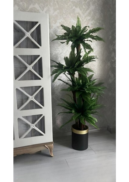 Siyah Gold Silindir 4 Gövdeli Fujer (Aşk Merdiveni) - 180 cm