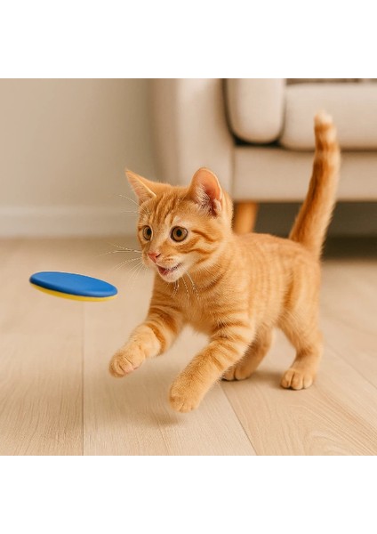 Disk Atan Oyuncak Tabanca indirimleri