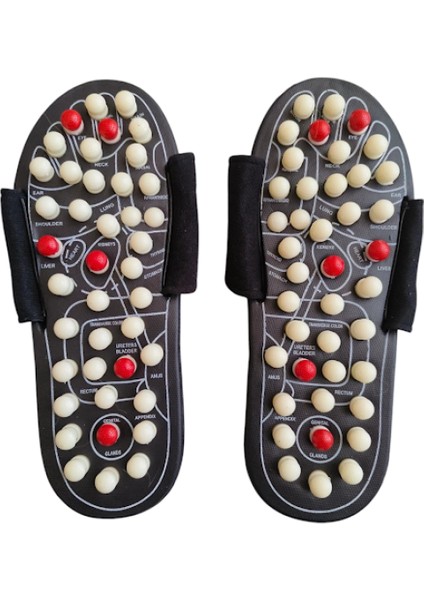 Masaj Terliği (42-43 Numara) ( Lisinya ) fiyatları