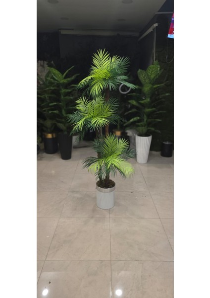 Metal Saksıda Beyaz Gümüş Silindir Saksıda 3 Gövdeli Areka - 180 cm