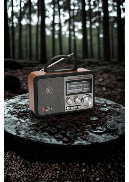 Büro Ev Ofis Hediyesi Için Ahşap Taşınır Bluetooth Hoparlörlü Şarjlı Radyo fiyatları
