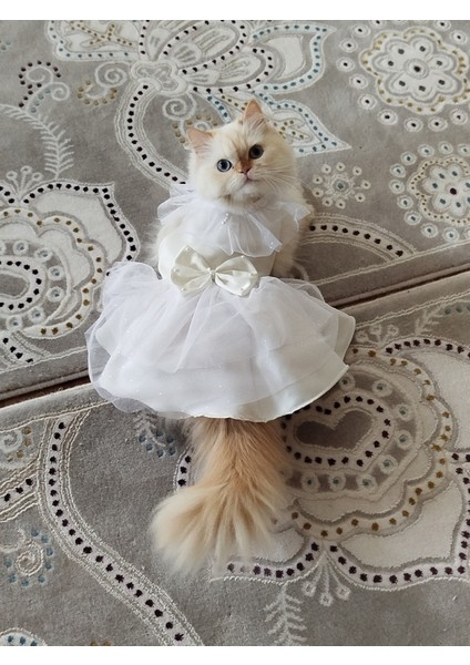 Sevimli Köpek ve Kedi Içi Şık Beyaz Elbise, Rahat ve Şık Tasarım