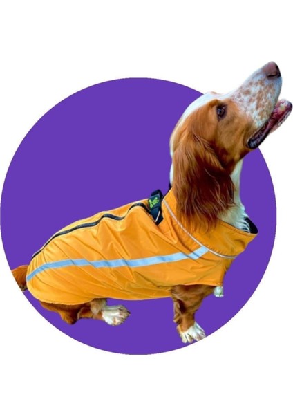 Su Geçirmeyen Polar Astarlı Köpek Yağmurluğu, Rahat ve Şık Hardal Sarısı Renk. modelleri