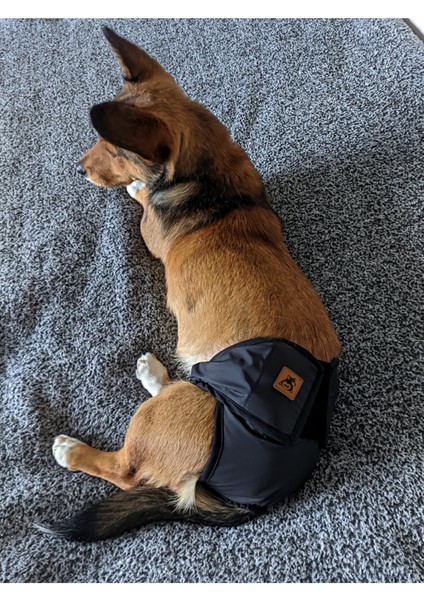 Yıkanabilir Dişi Köpek Regl ve Çiş Külodu, Pedli, Rahat ve Şık Tasarım