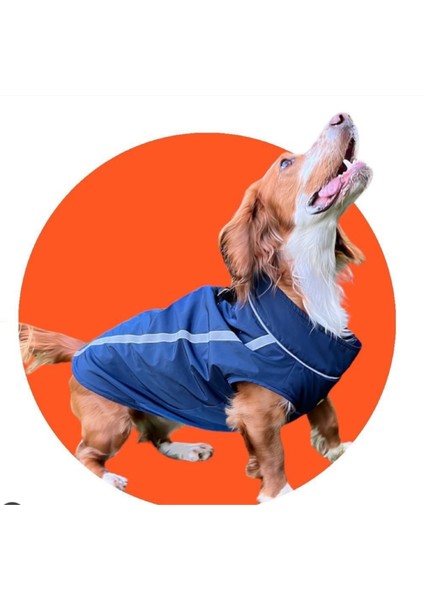Su Geçirmez Polar Astarlı Köpek Yağmurluğu, Lacivert, Konforlu ve Şık Koruma Sağlar.