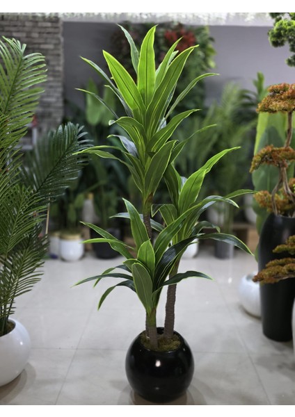 Siyah Küre Karbonfiber Saksıda 3 Gövdeli Yuka - 190 cm