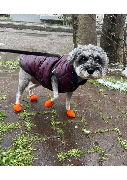 Kırmızı Köpek Ayakkabısı, Konforlu ve Şık Tasarım, Dayanıklı Malzeme. fiyatları