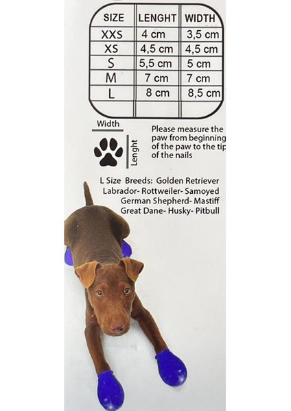 Kırmızı Köpek Ayakkabısı, Konforlu ve Şık Tasarım, Dayanıklı Malzeme.