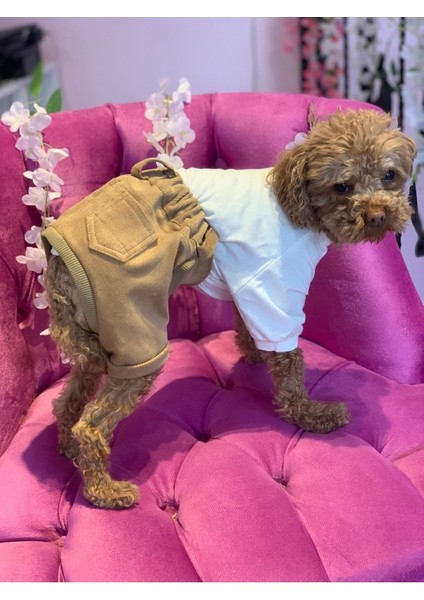 Köpek ve Kedi Için Rahat ve Şık Kahverengi Pantolon Şort, Üst Giyim Tarzında. fiyatları
