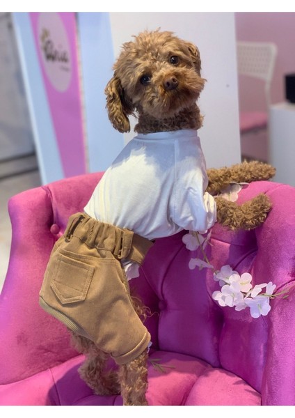 Köpek ve Kedi Için Rahat ve Şık Kahverengi Pantolon Şort, Üst Giyim Tarzında. fırsatları