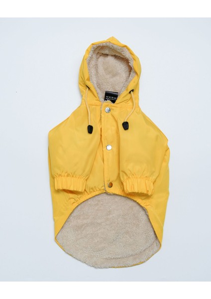 Sarı Köpek Yağmurluğu, Hafif ve Şık, Koruyucu Üst Giyim