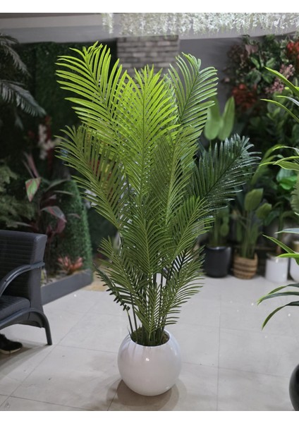 Beyaz Küre Karbonfiber Saksıda Tusem Areka - 190 cm
