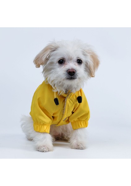 Sarı Köpek Yağmurluğu, Hafif ve Şık, Koruyucu Üst Giyim modelleri