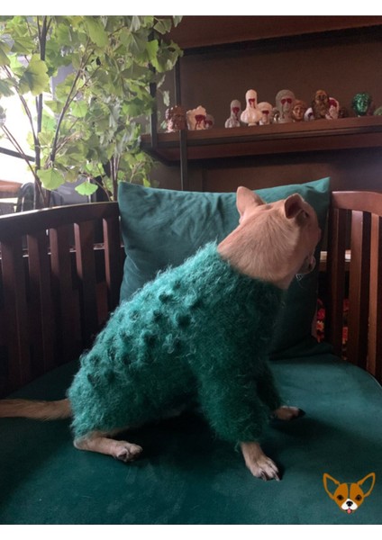 Yeşil Örme Kedi ve Köpek Kazağı 1-4 Kg, Şık ve Rahat Üst Giyim fiyatları