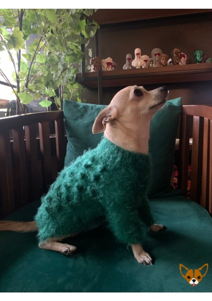 Yeşil Örme Kedi ve Köpek Kazağı 1-4 Kg, Şık ve Rahat Üst Giyim modelleri