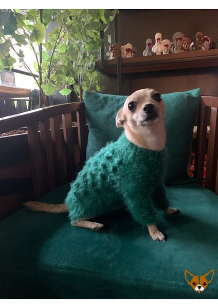 Yeşil Örme Kedi ve Köpek Kazağı 1-4 Kg, Şık ve Rahat Üst Giyim fırsatları