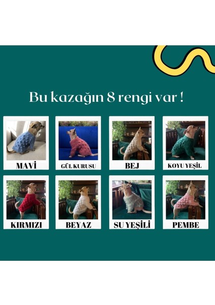 Yeşil Örme Kedi ve Köpek Kazağı 1-4 Kg, Şık ve Rahat Üst Giyim indirimleri