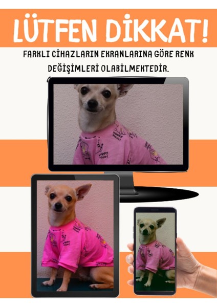 Yeşil Örme Kedi ve Köpek Kazağı 1-4 Kg, Şık ve Rahat Üst Giyim