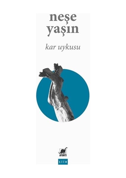 Kar Uykusu