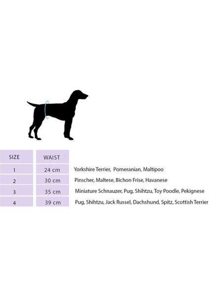Sarı Köpek Iç Çamaşırı Özel Gün Regl Külodu, Rahat ve Şık Tasarım fiyatları