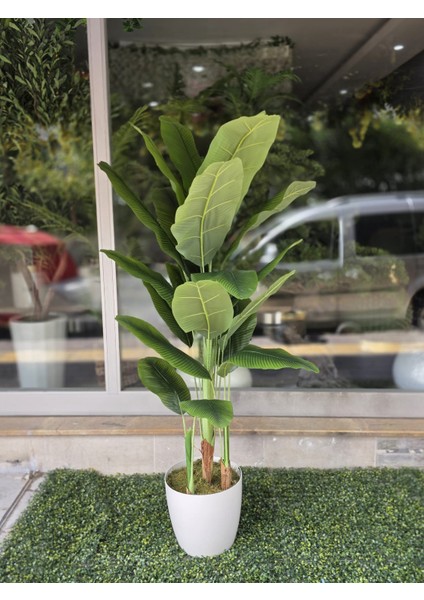 Krem Plastik Yakut Saksıda Muz Ağacı - 190 cm 6000 Tl