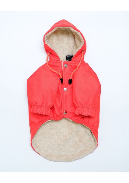 Küçük ve Orta Irk Turuncu Köpek Yağmurluğu, Renkli ve Rahat Giyim Seçeneği