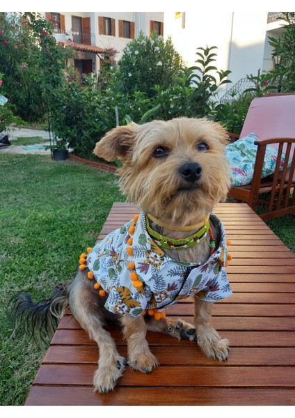 Kahverengi Kaplan Desenli Köpek Gömleği, Şık ve Rahat Üst Giyim. fırsatları