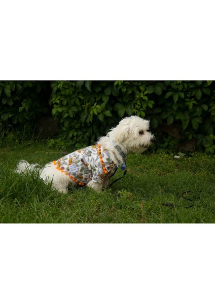 Kahverengi Kaplan Desenli Köpek Gömleği, Şık ve Rahat Üst Giyim. indirimleri