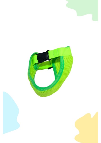 Yeşil Renkli Hijyenik Köpek Regl Külodu, Rahat ve Kullanışlı Üst Giyim