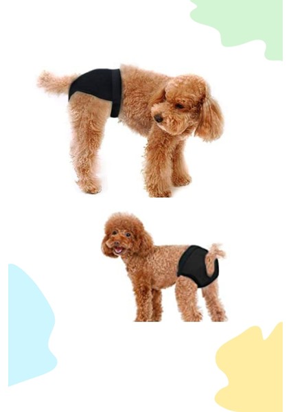 Yeşil Renkli Hijyenik Köpek Regl Külodu, Rahat ve Kullanışlı Üst Giyim