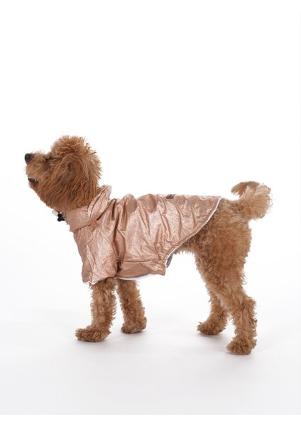 Parlak Hologram Su Geçirmez Köpek Yağmurluğu, Mont, Ceket, Metalik Renk